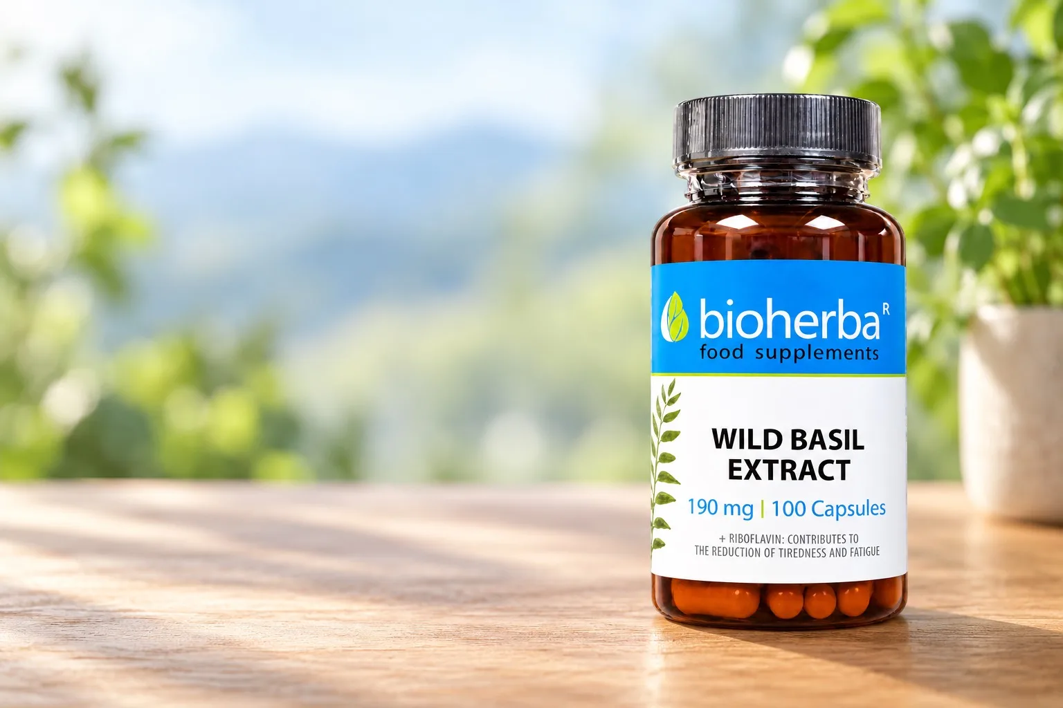Bioherba extrakt z divej bazalky v pokojnej botanickej scéne