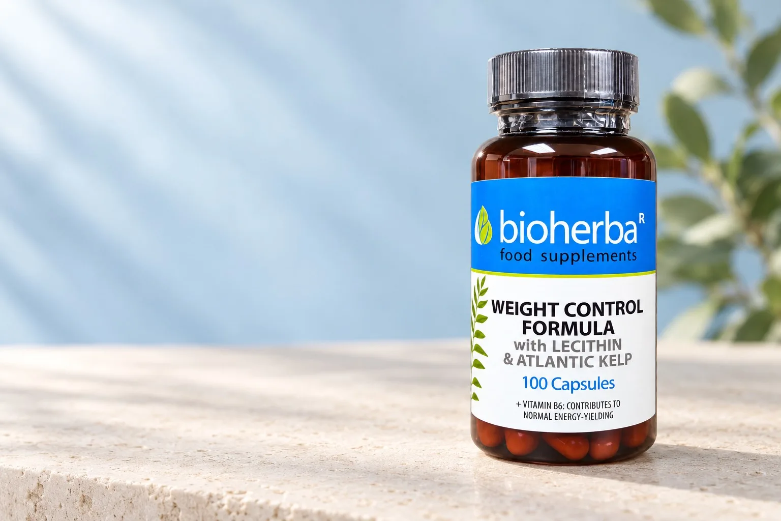 Kapsuly Bioherba Shape 4 in 1 na svetlom kamennom podklade
